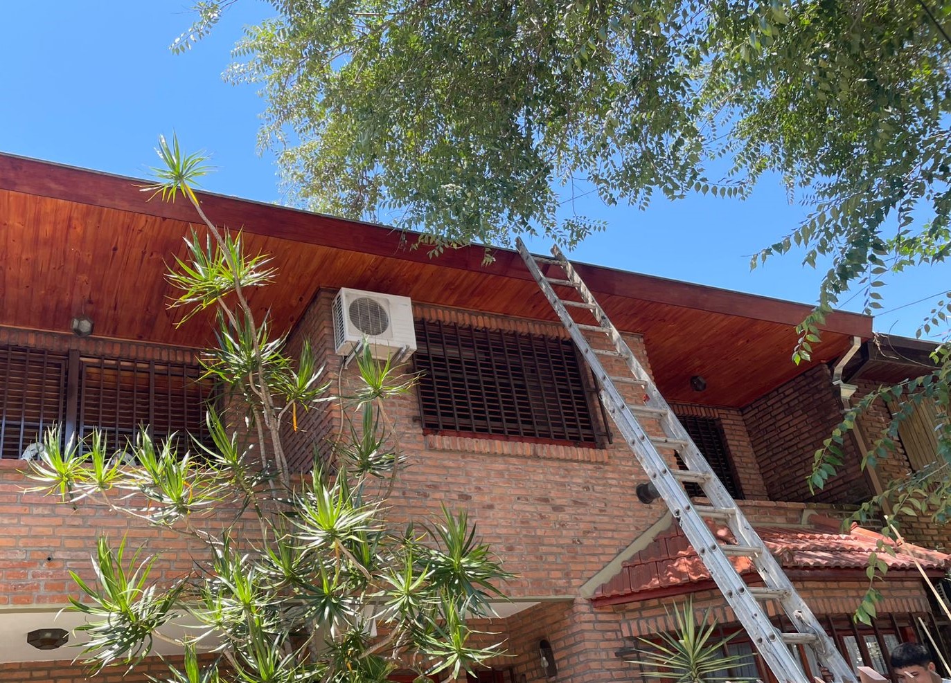 Renovación de maderas